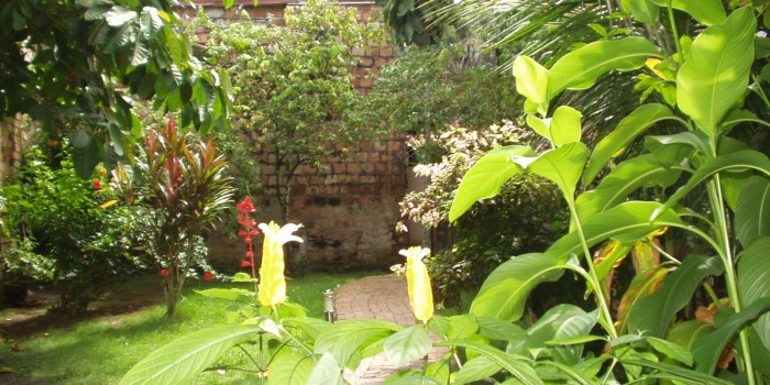 Riverside apartment garden, Iquitos, Peru