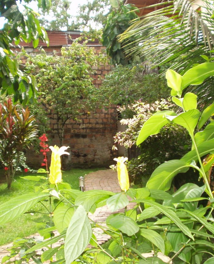 Riverside apartment garden, Iquitos, Peru
